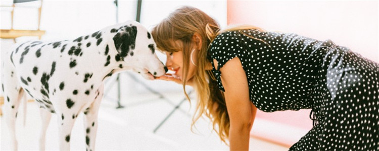 怎么给狗打芯片 给狗植入芯片有后遗症吗