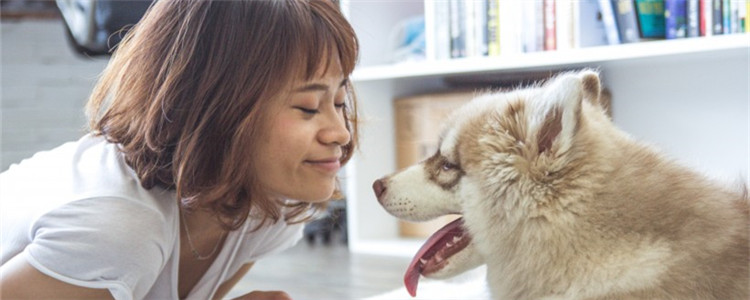 狗狗抑郁的表现 主人应该给狗狗足够的关心