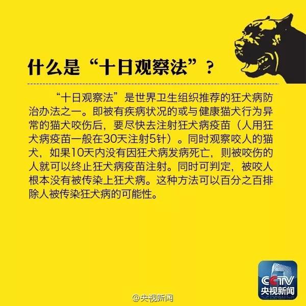 狗抓沒出血但有點劃痕 需要打針嗎?