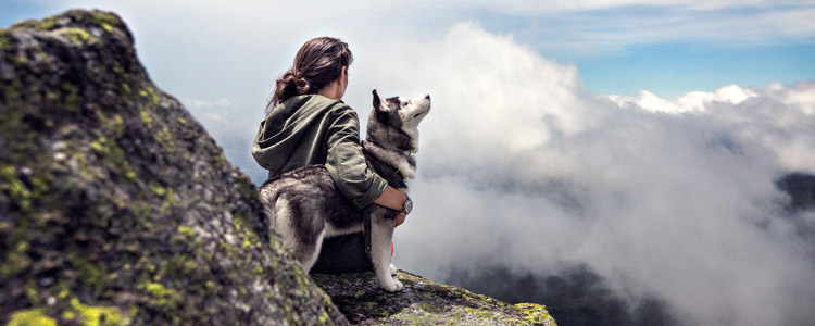 狗狗耳朵立不起来怎么办 晒太阳也有用喔!