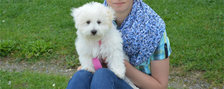 自来狗可以送走吗 狗来富的说法靠谱吗？