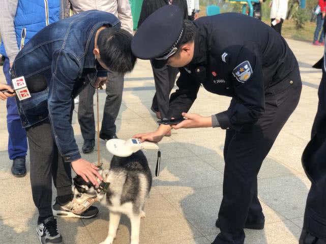 健康养犬 别忘了给家里的“汪星人”牵狗绳办狗证！健康养犬 别忘了给家里的“汪星人”牵狗绳办狗证！