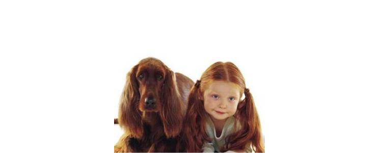 狗狗吃多了盐会怎样？ 狗狗到底需要多少盐才合适？