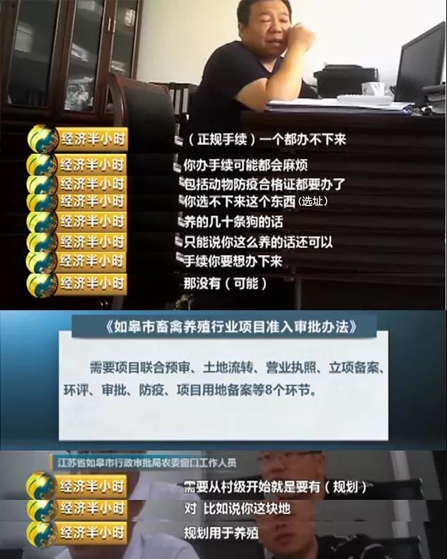 什么叫后院繁殖？ 你购买的宠物可能来自人间炼狱