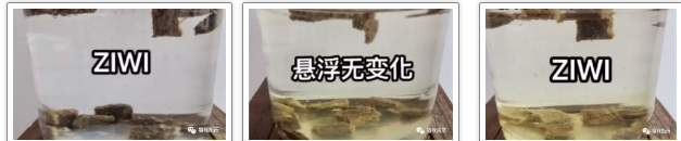 巅峰牛肉猫粮怎么样 给你全方位的测评巅峰牛肉猫粮怎么样 给你全方位的测评