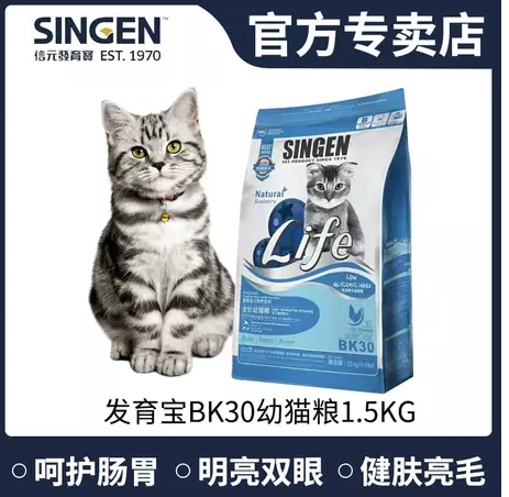 猫粮推荐 平价优质猫粮我都告诉你！