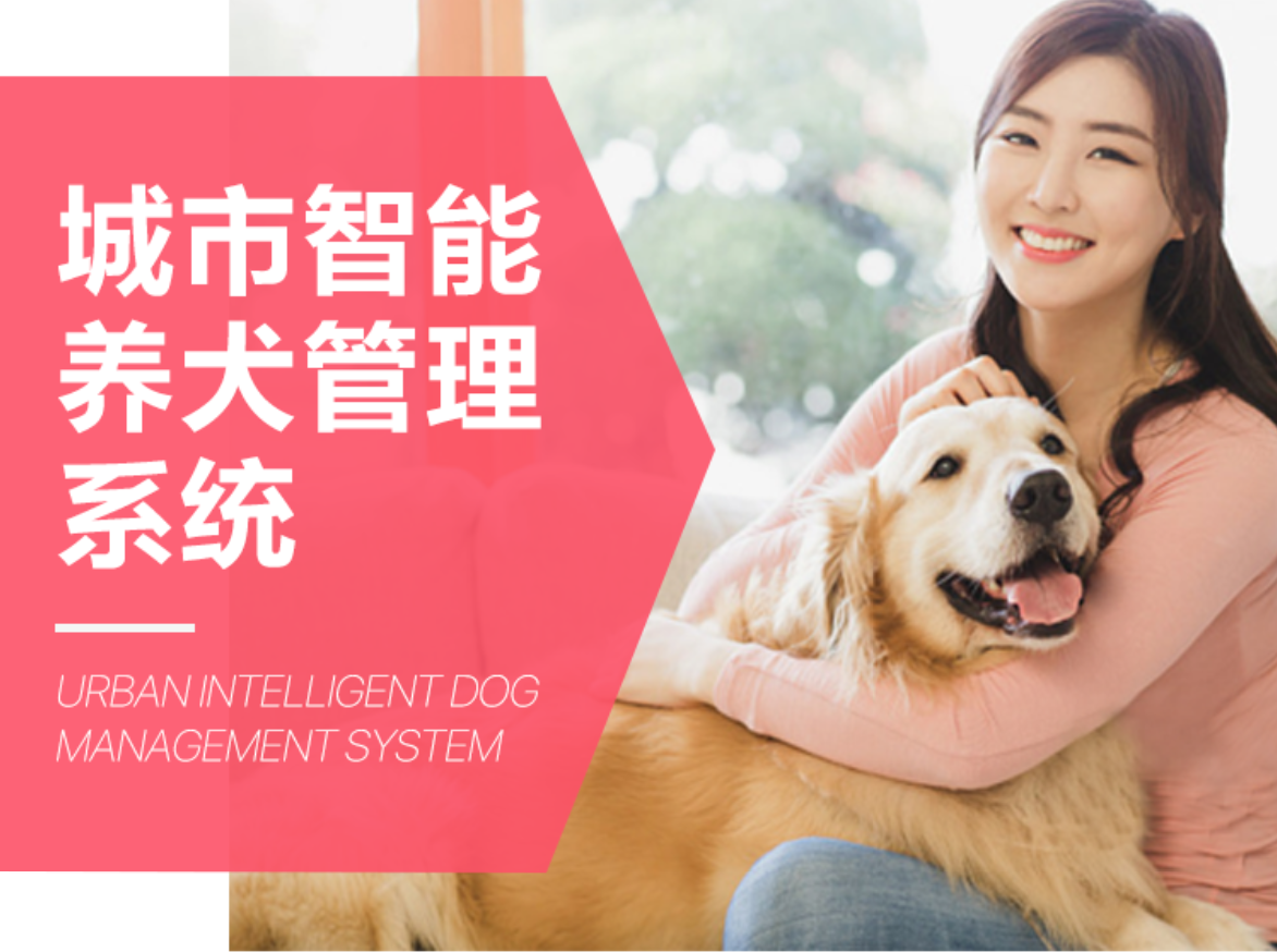 威海养犬登记证怎么办 快为你家狗子办一张合法身份证吧