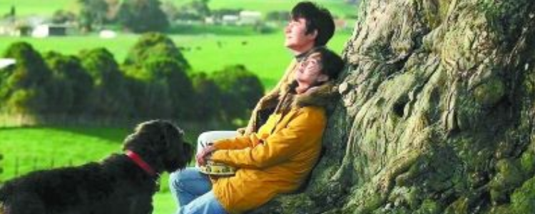 只有芸知道 电影里的狗 “布鲁”因直肠癌被安乐死