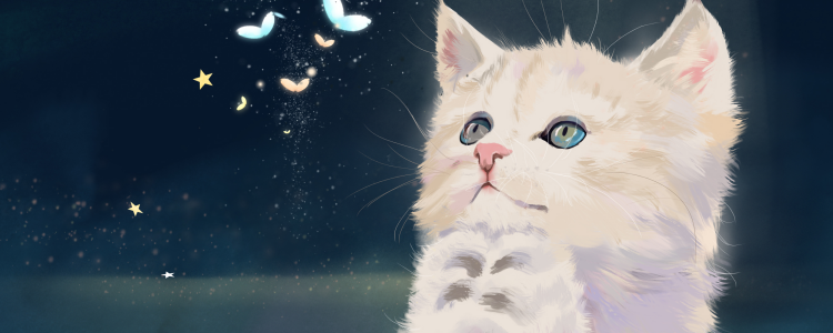 什么罐头适合猫 身体需求都是不同的！