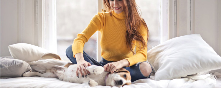 能证明猫狗和新型冠状病毒有关吗 猫狗是背锅侠！