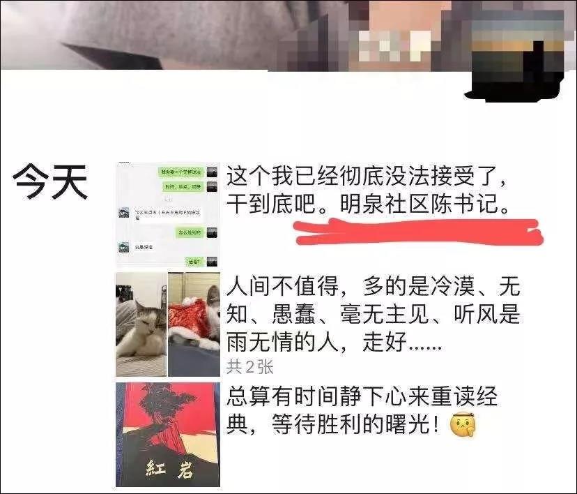 新型冠状病毒隔离期 我的猫竟被社区活埋
