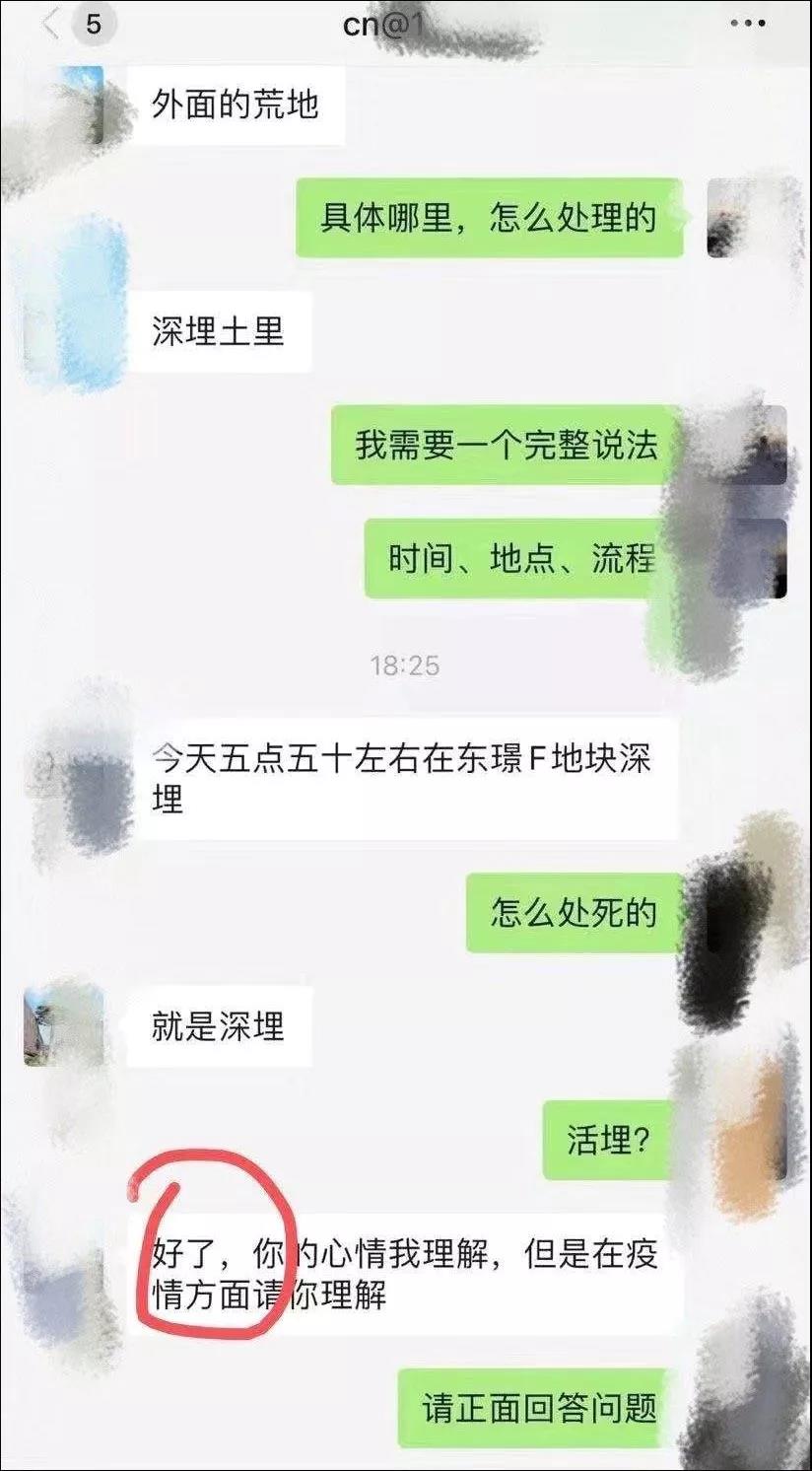 新型冠状病毒隔离期 我的猫竟被社区活埋