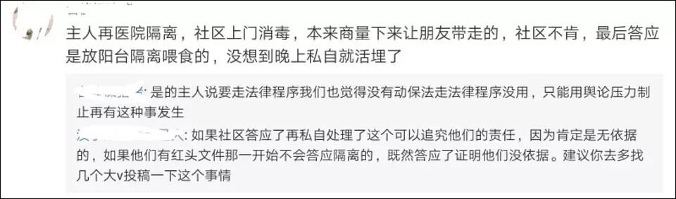 新型冠状病毒隔离期 我的猫竟被社区活埋