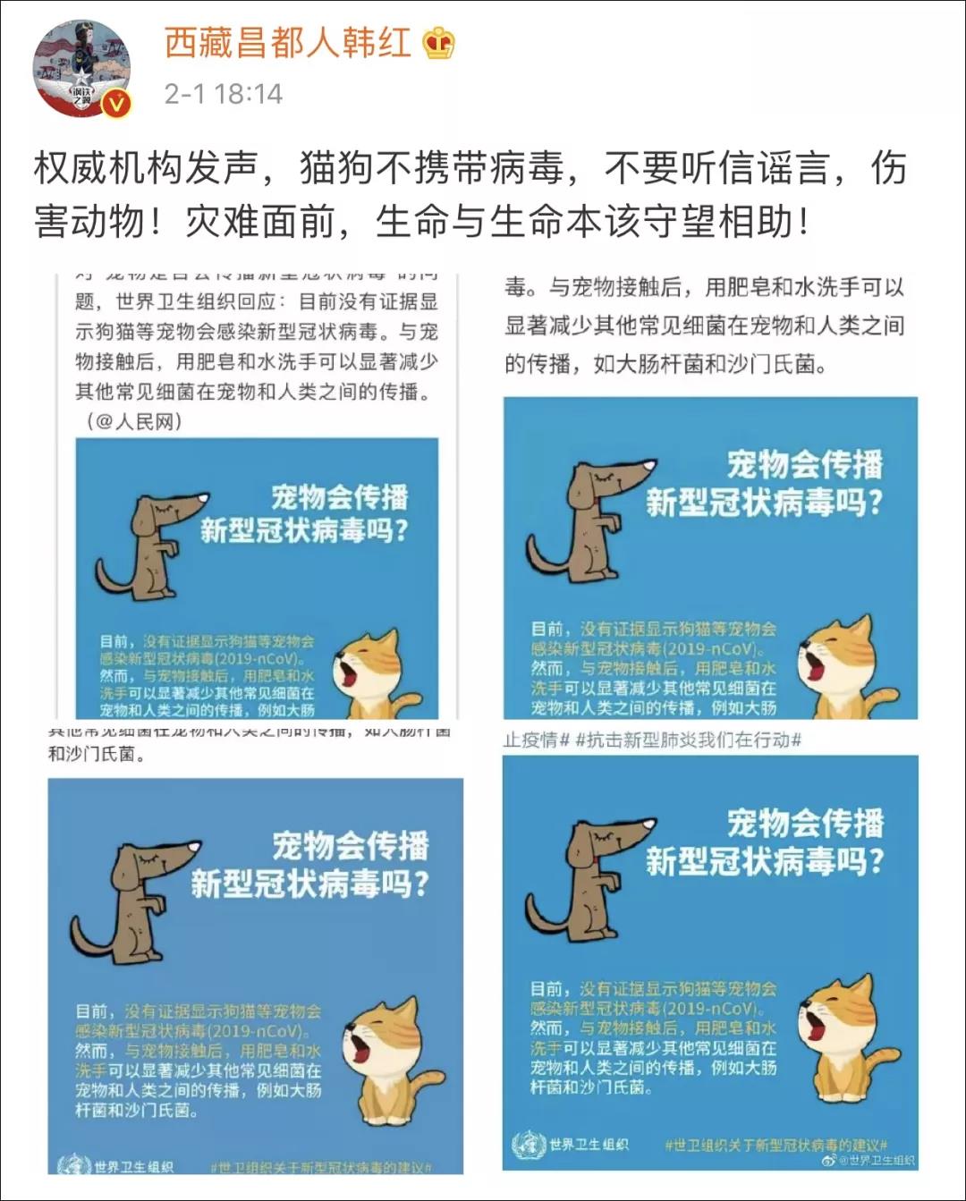 猫狗会不会感染新型冠状病毒 别再重演非典悲剧了！