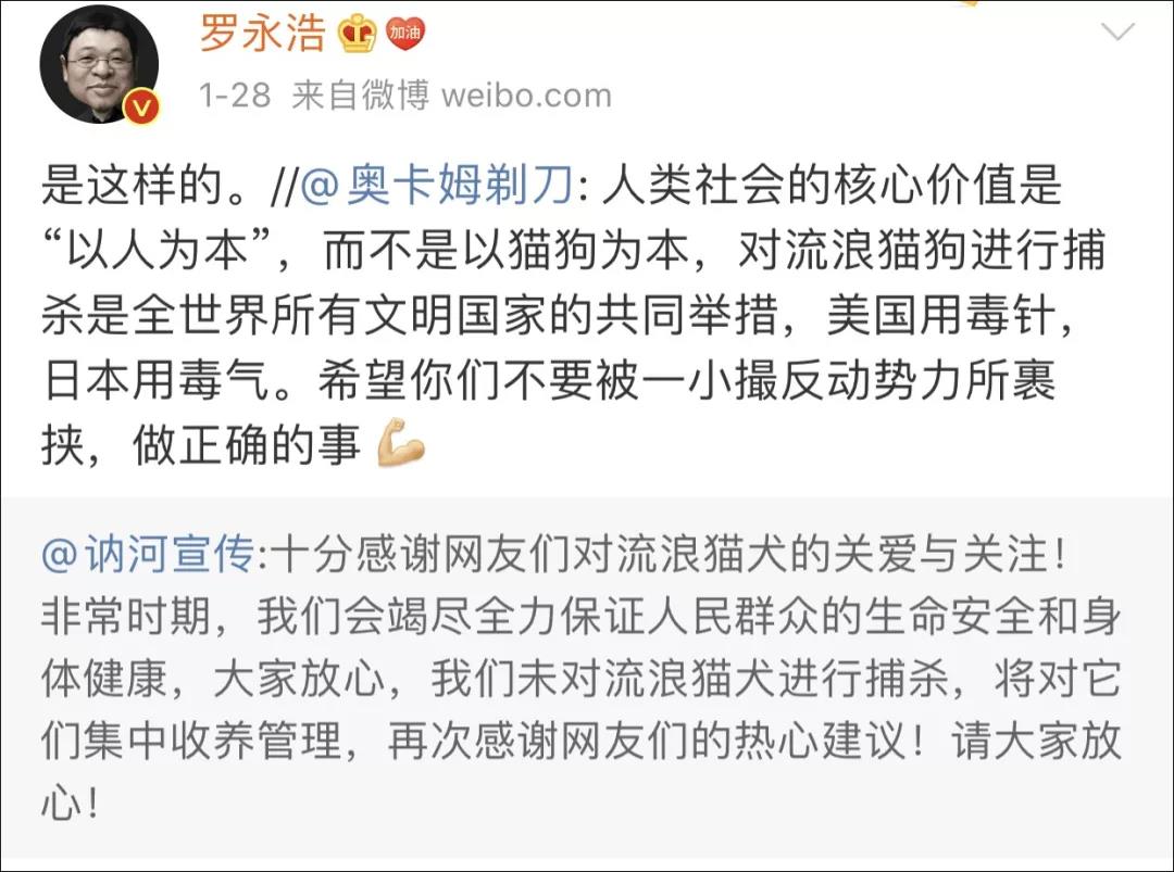 猫狗会不会感染新型冠状病毒 别再重演非典悲剧了！