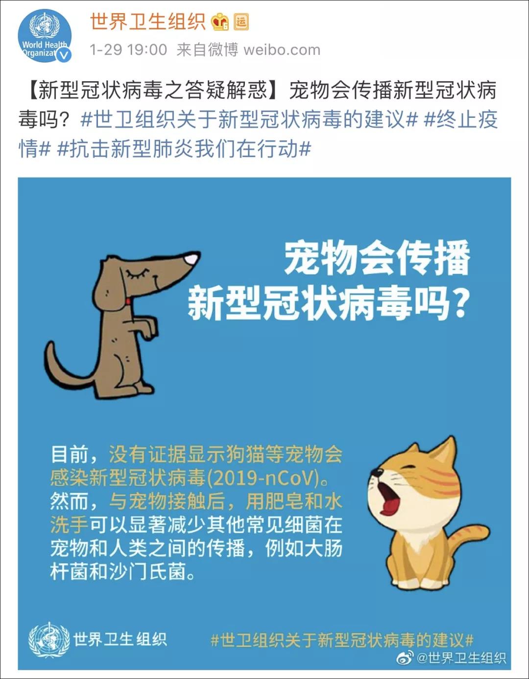 宠物猫狗会感染新型冠状病毒吗 世界卫生组织辟谣