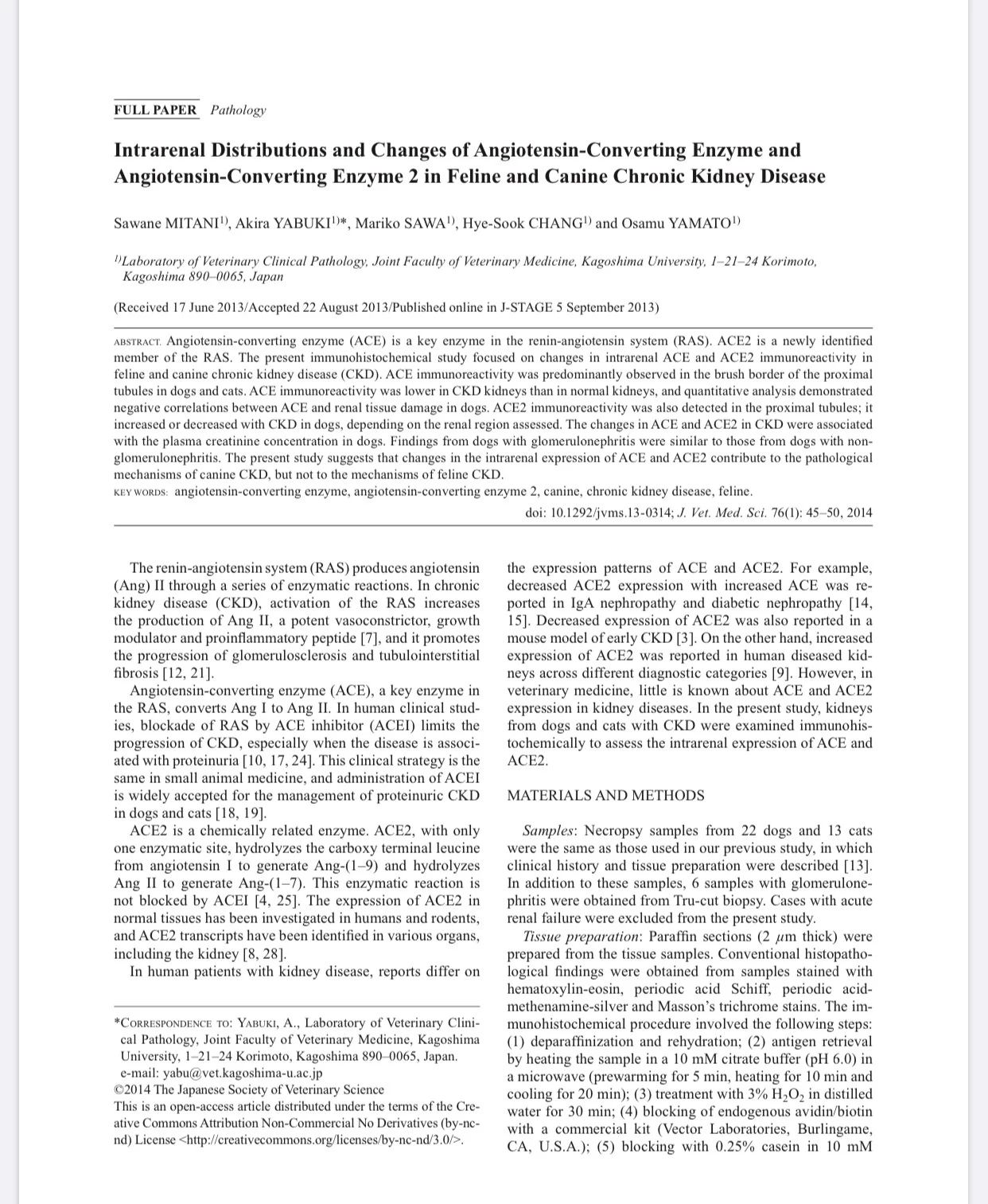 新型冠状病毒对猫狗有影响吗 不要抱有侥幸心理！