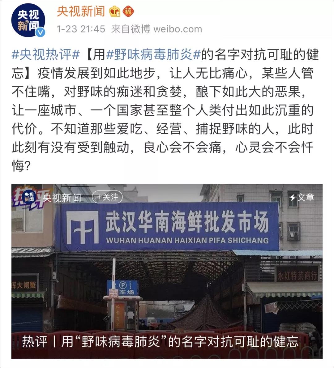 猫狗会不会感染新型肺炎 来看看这座魔幻城市的行为