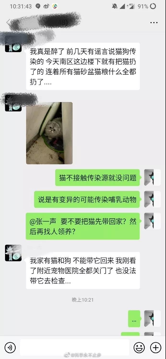 猫狗会不会感染新型肺炎 来看看这座魔幻城市的行为