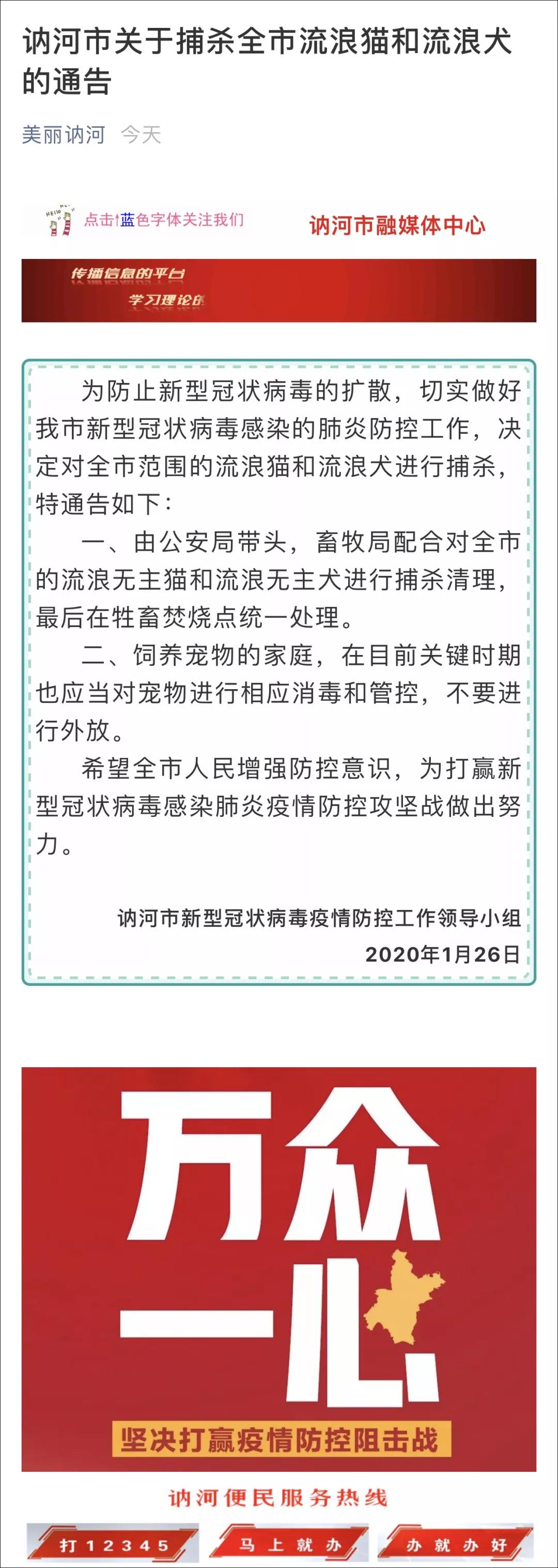 猫狗会不会感染新型肺炎 来看看这座魔幻城市的行为