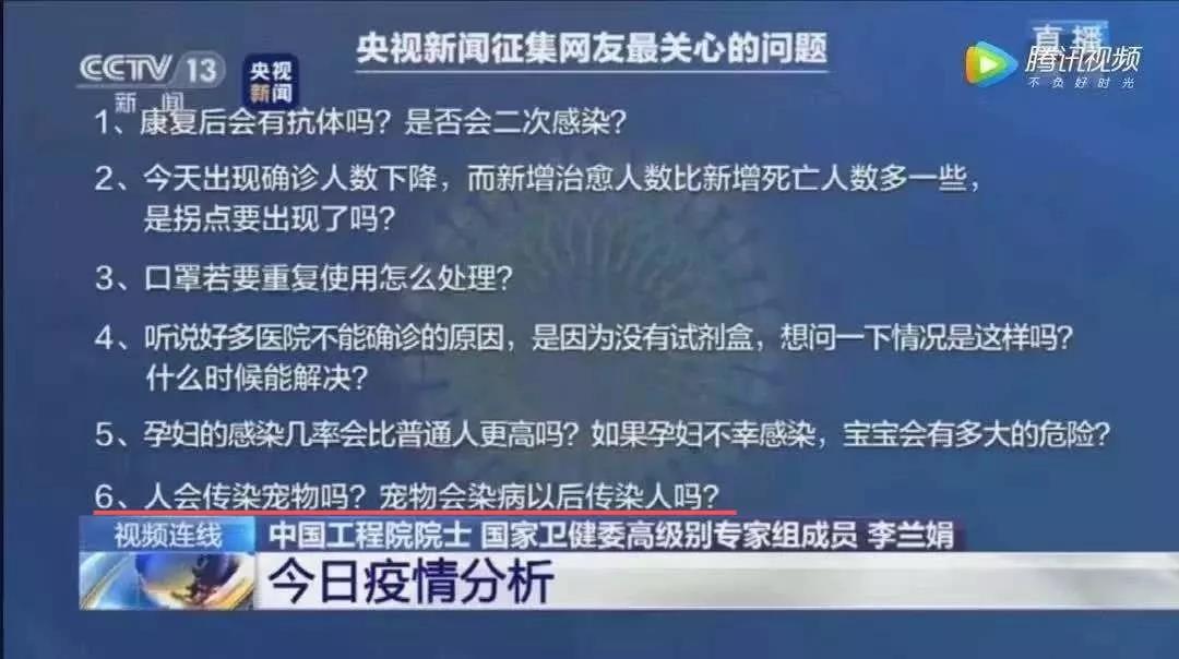 猫狗会传染新型冠状病毒吗 无证据显示会感染！