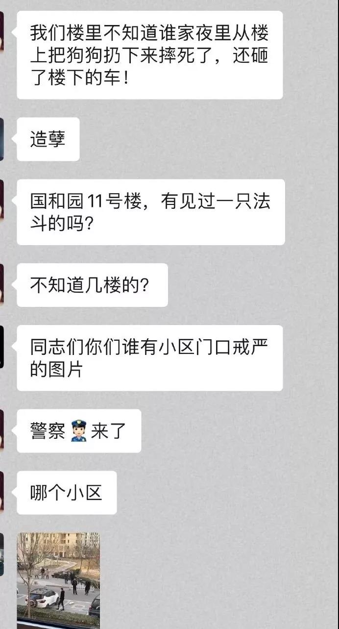 猫狗会传染新型冠状病毒吗 无证据显示会感染！