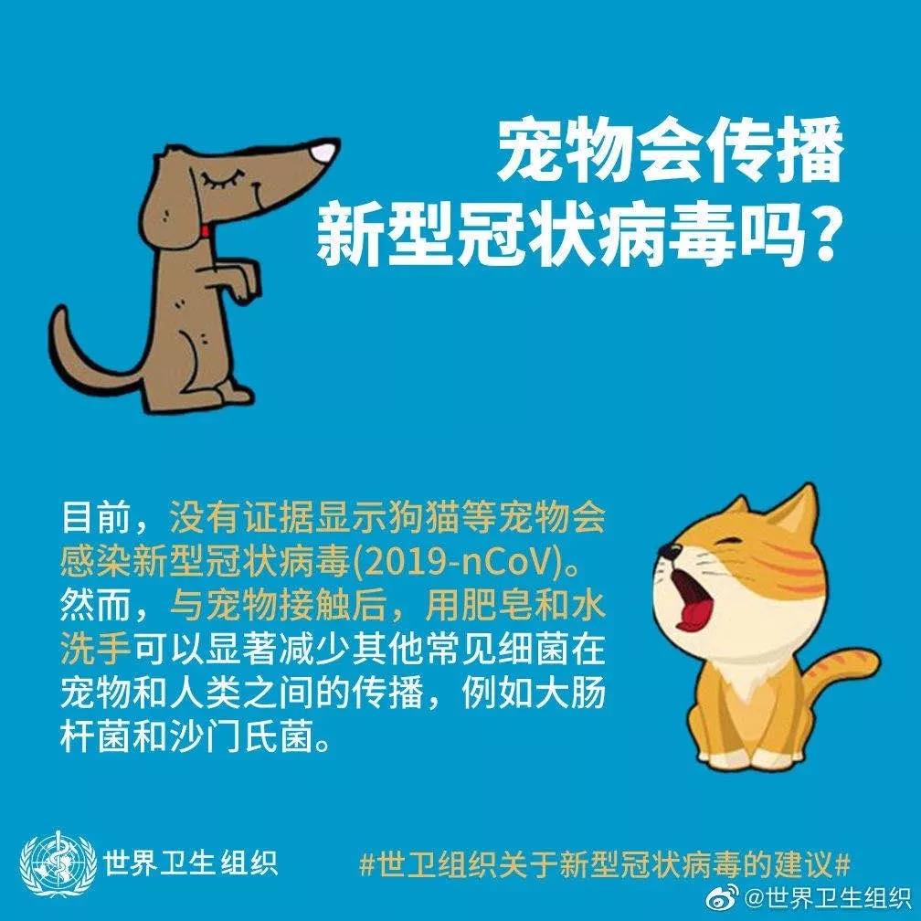 猫狗会传染新型冠状病毒吗 无证据显示会感染！