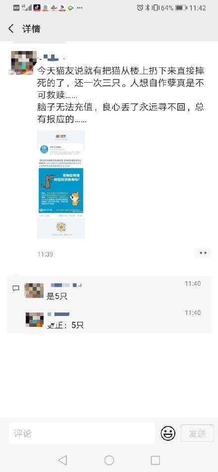 猫狗会感染新型肺炎吗 不要让无知的恐慌变成杀宠凶手！