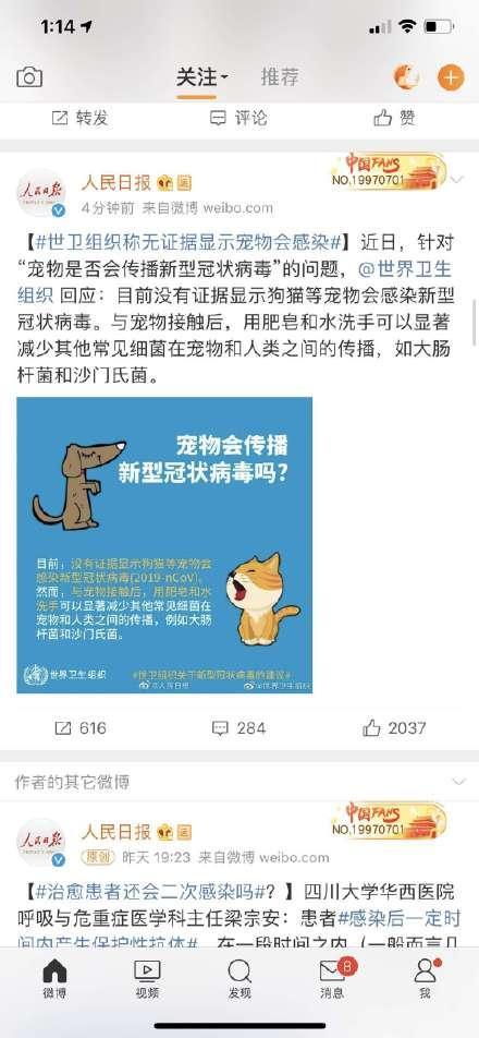猫狗会感染新型肺炎吗 不要让无知的恐慌变成杀宠凶手！