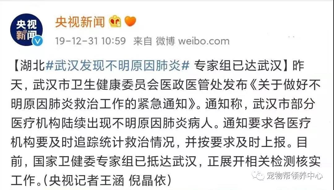 新型肺炎会传染宠物吗 那些建议遗弃猫狗的是何居心？