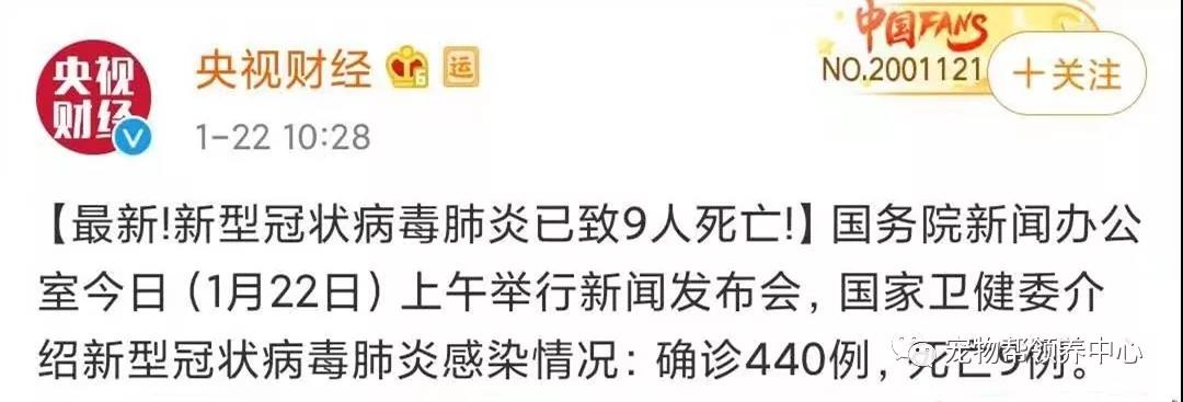 新型肺炎会传染宠物吗 那些建议遗弃猫狗的是何居心？