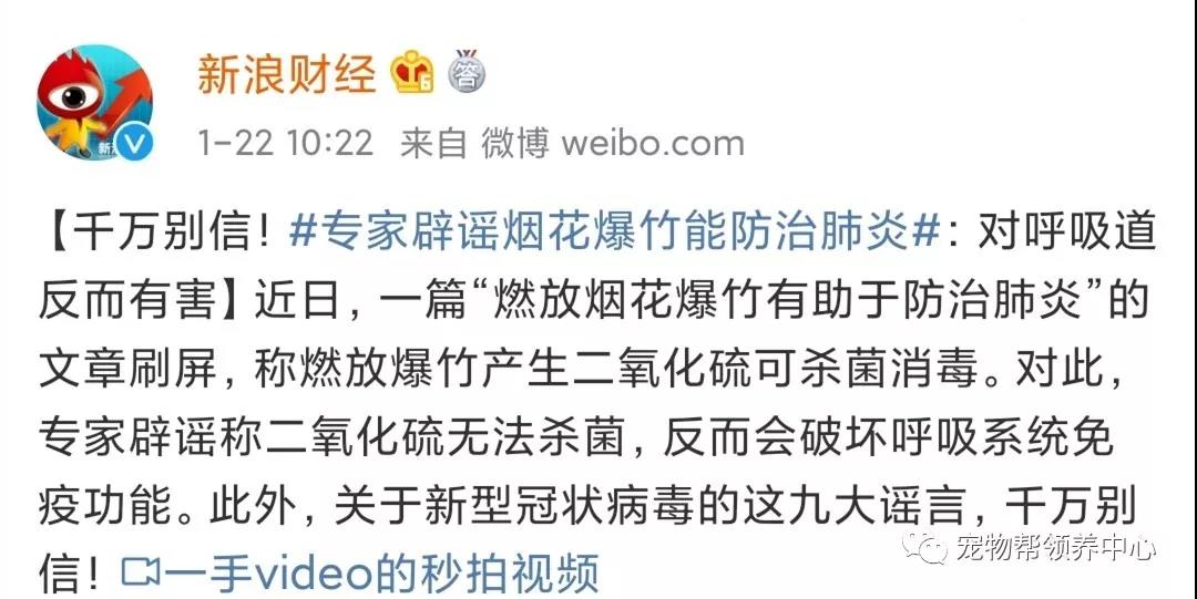 新型肺炎会传染宠物吗 那些建议遗弃猫狗的是何居心？