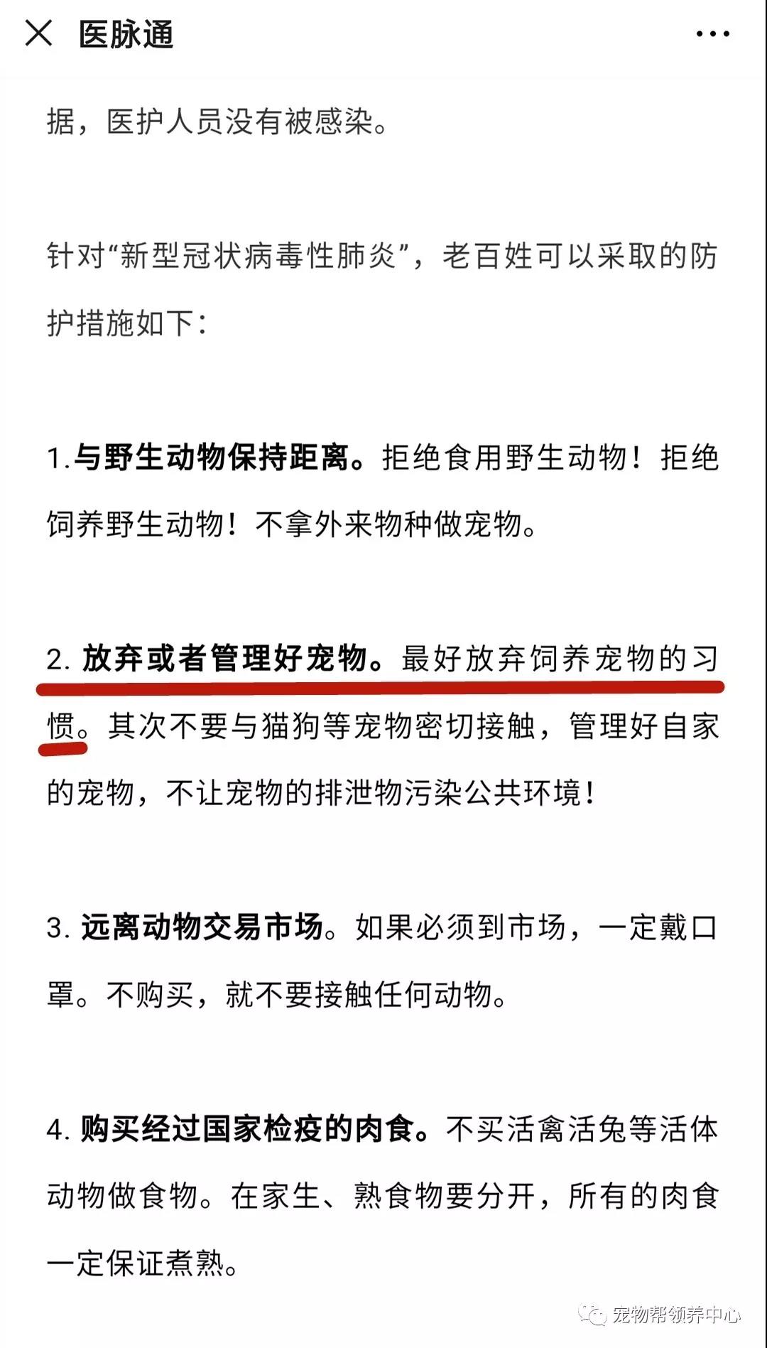 新型肺炎会传染宠物吗 那些建议遗弃猫狗的是何居心？