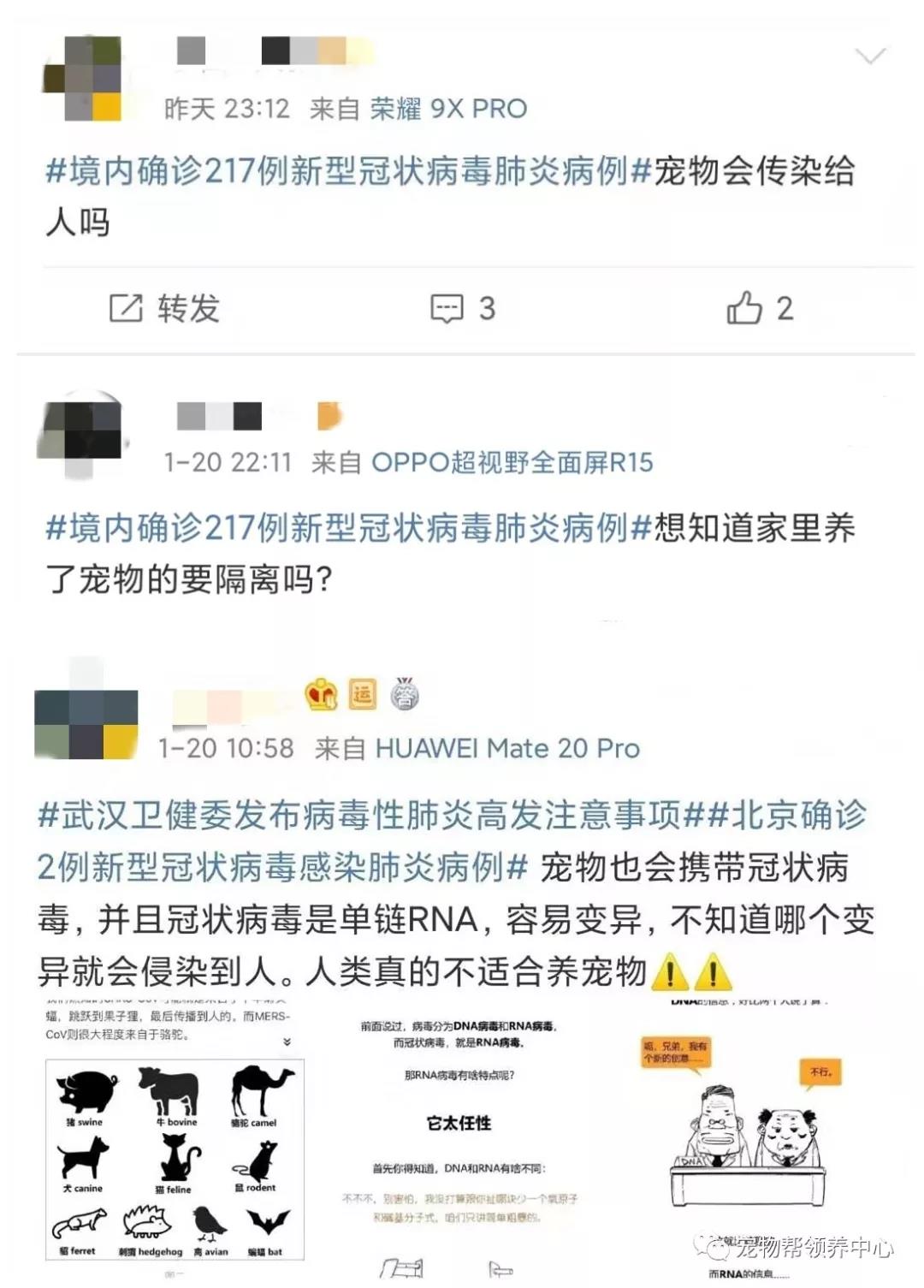 新型肺炎会传染宠物吗 那些建议遗弃猫狗的是何居心？