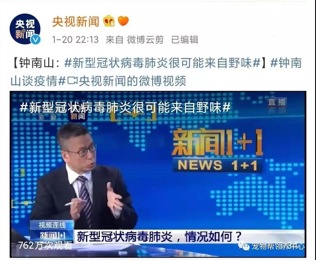 新型肺炎会传染宠物吗 那些建议遗弃猫狗的是何居心？