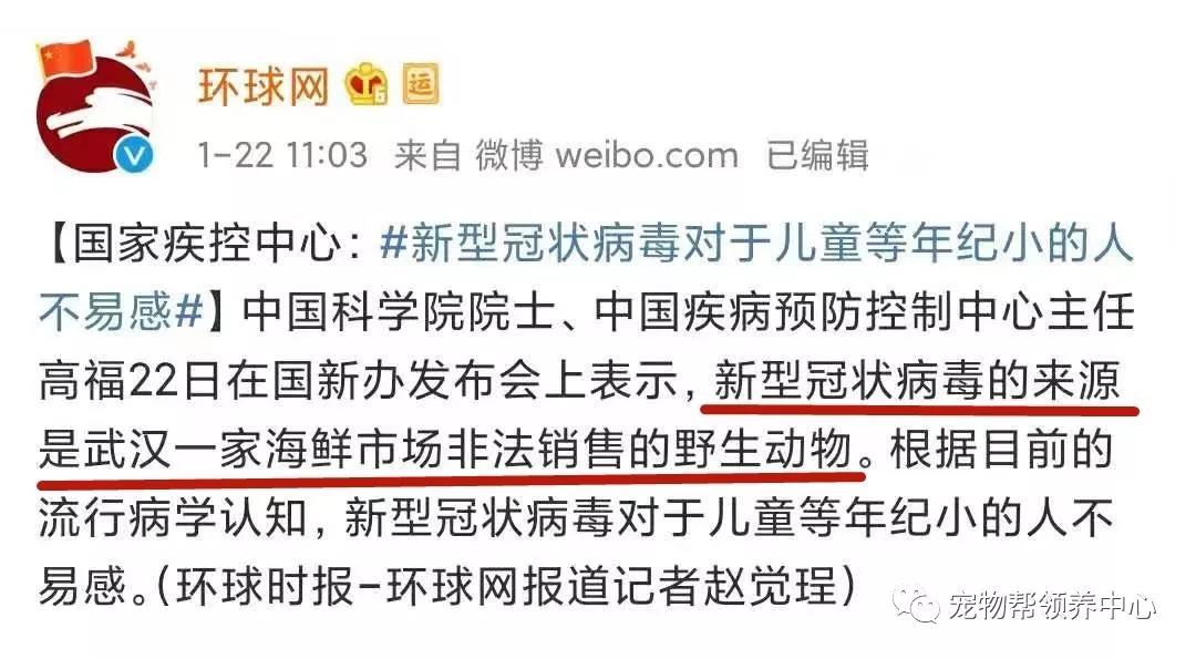新型肺炎会传染宠物吗 那些建议遗弃猫狗的是何居心？