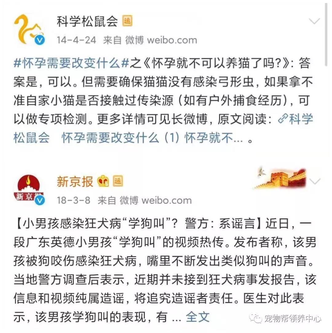 新型肺炎会传染宠物吗 那些建议遗弃猫狗的是何居心？