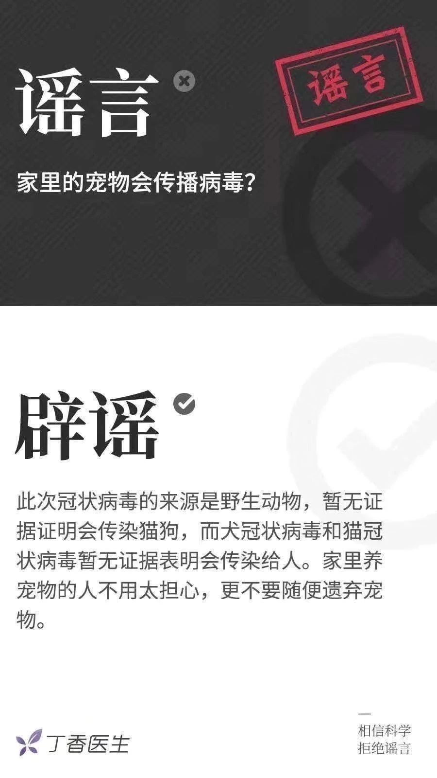 新型冠状病毒对猫有没有影响 目前没有直接说明！