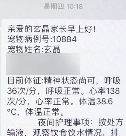 新型冠状病毒对猫有没有影响 目前没有直接说明！