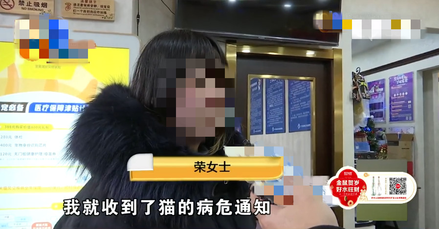 新型冠状病毒对猫有没有影响 目前没有直接说明！