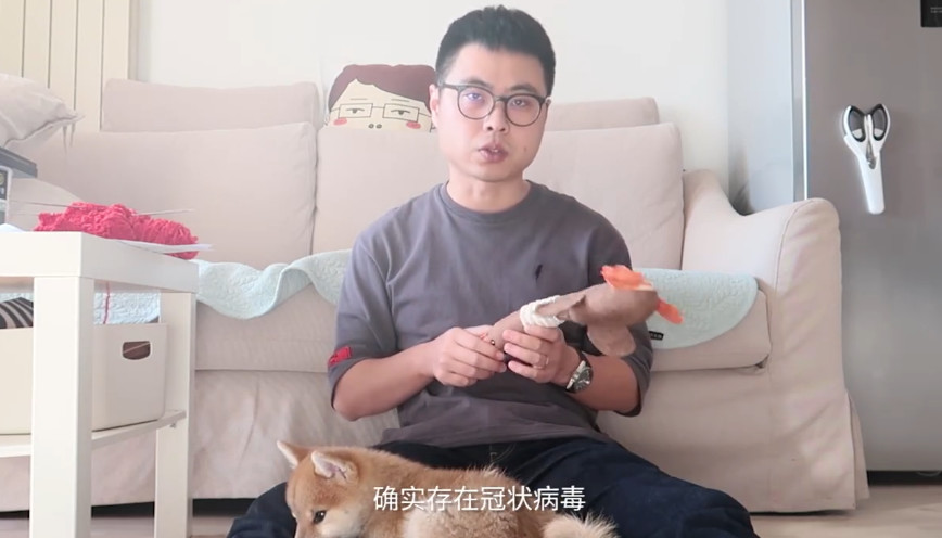 新型冠状病毒对猫有没有影响 目前没有直接说明！