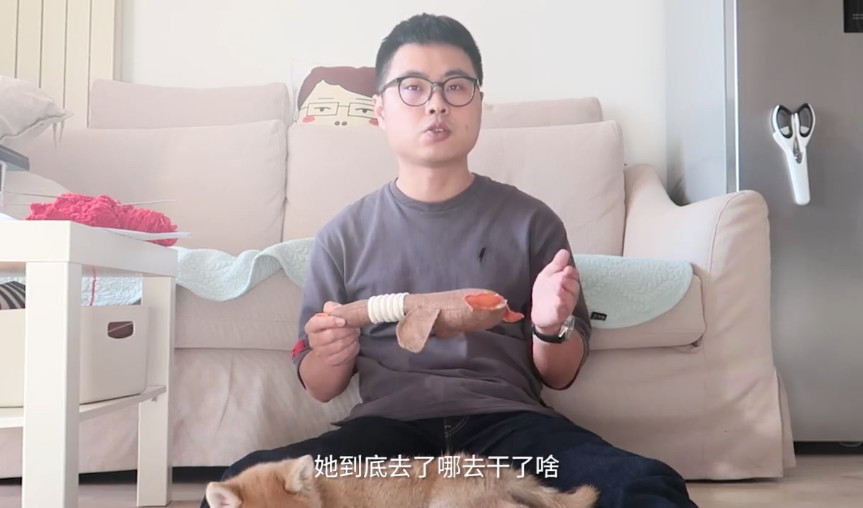 新型冠状病毒对猫有没有影响 目前没有直接说明！