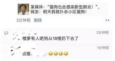猫狗真的会感染新型冠状病毒吗 背锅的猫狗真的蛮可怜的！
