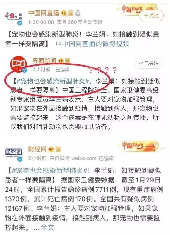 猫狗真的会感染新型冠状病毒吗 背锅的猫狗真的蛮可怜的！