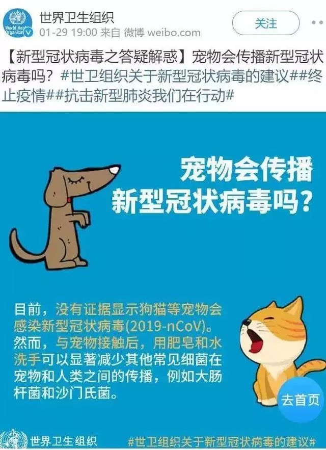 猫狗真的会感染新型冠状病毒吗 背锅的猫狗真的蛮可怜的！