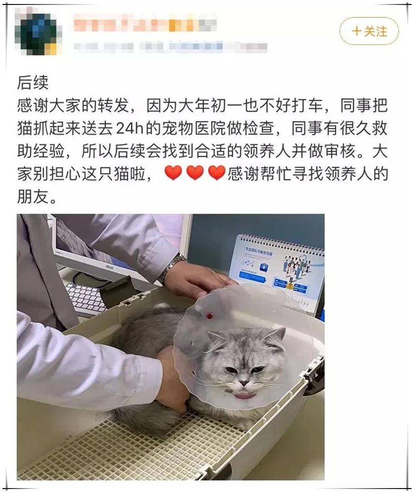 养猫能预防新型冠状病毒 这种骗人的你也能信！