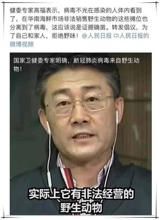 养猫能预防新型冠状病毒 这种骗人的你也能信！