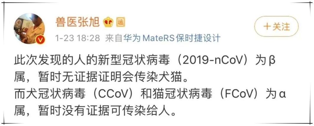 养猫能预防新型冠状病毒 这种骗人的你也能信！
