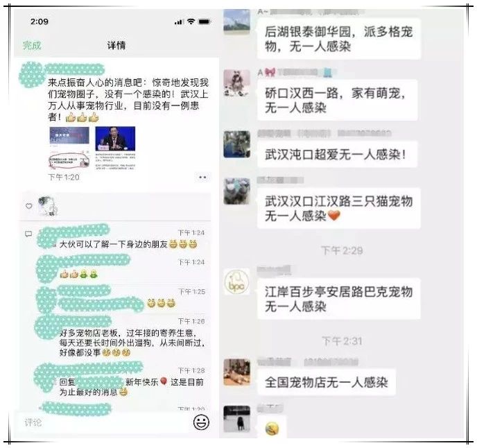 养猫能预防新型冠状病毒 这种骗人的你也能信！