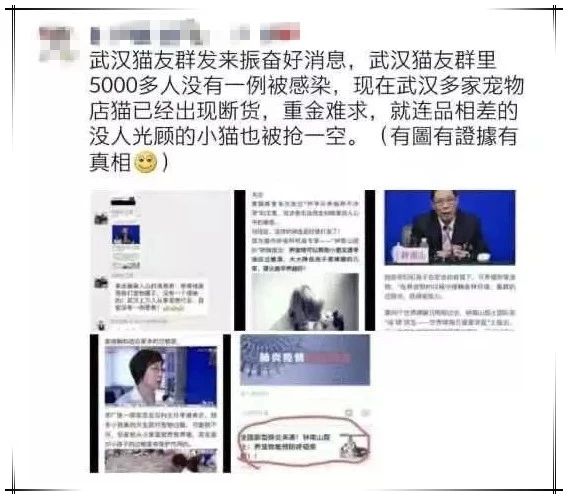 养猫能预防新型冠状病毒 这种骗人的你也能信！